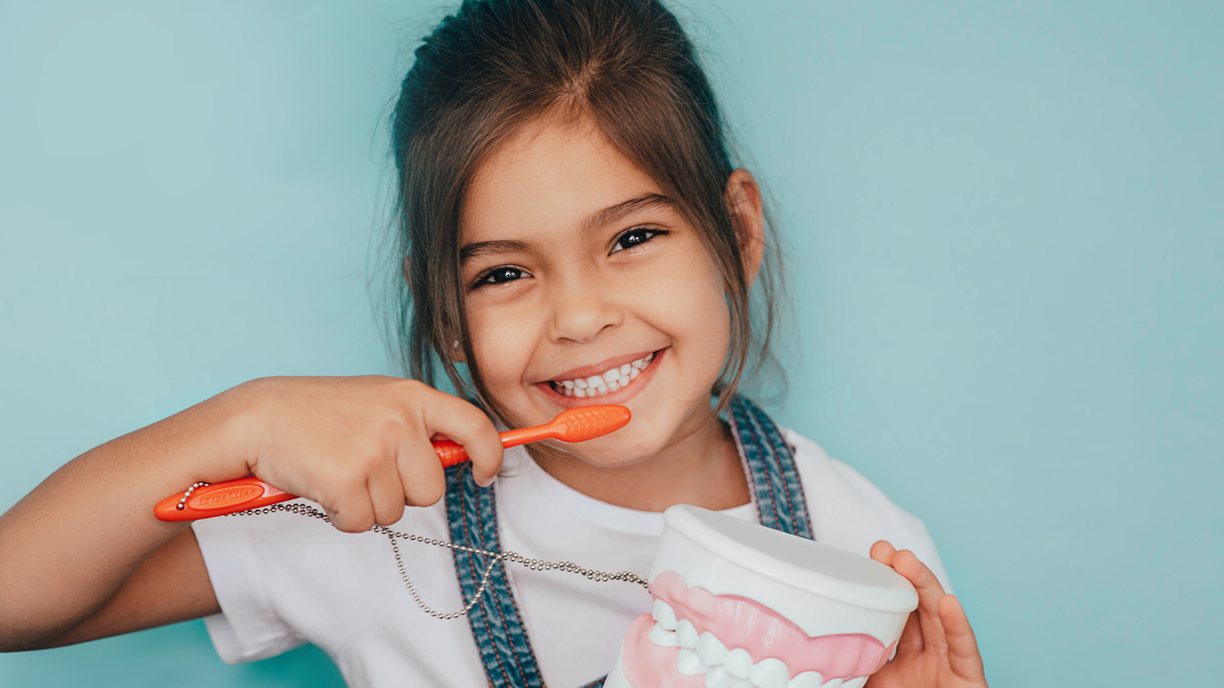 child smiling, holding toothbrush and model teeth